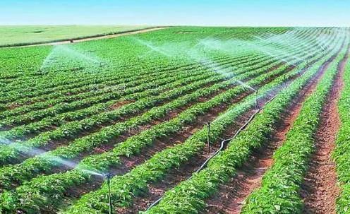 免费观看搞鸡巴农田高 效节水灌溉